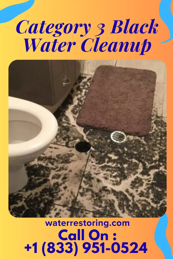 Category 3 Black Water Cleanup in Salt Lick, KY
