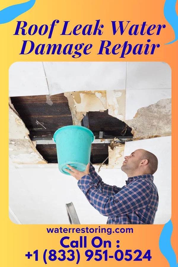 Roof Leak Water Damage Repair in Salt Lick, KY