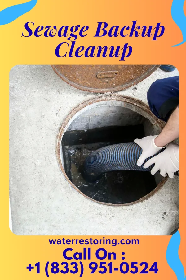 Sewage Backup Cleanup in Salt Lick, KY